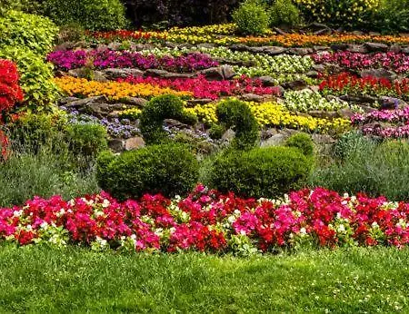 Casa Serena E Alice * Lenno